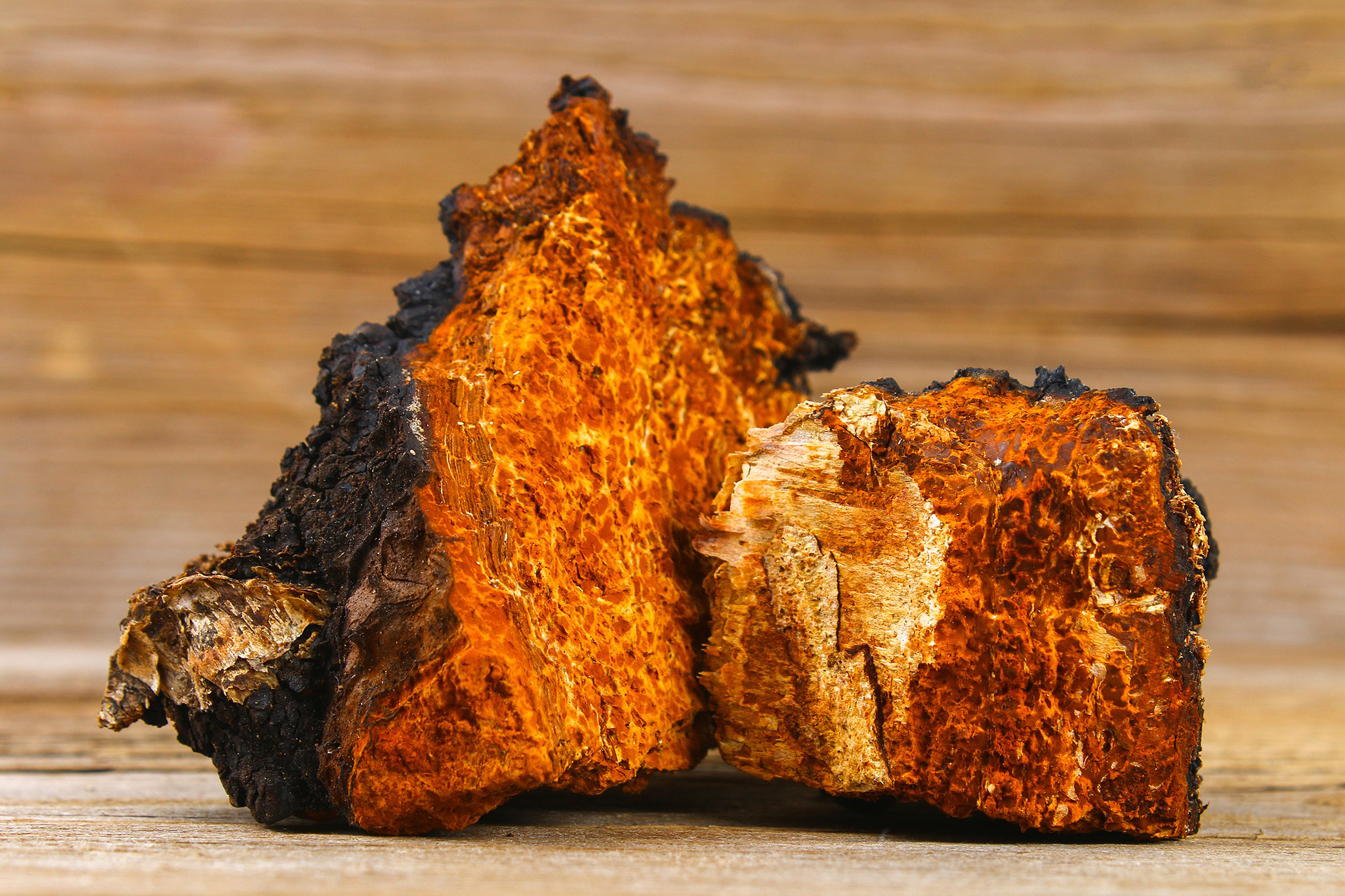 Chaga, a means to improve skin and hair