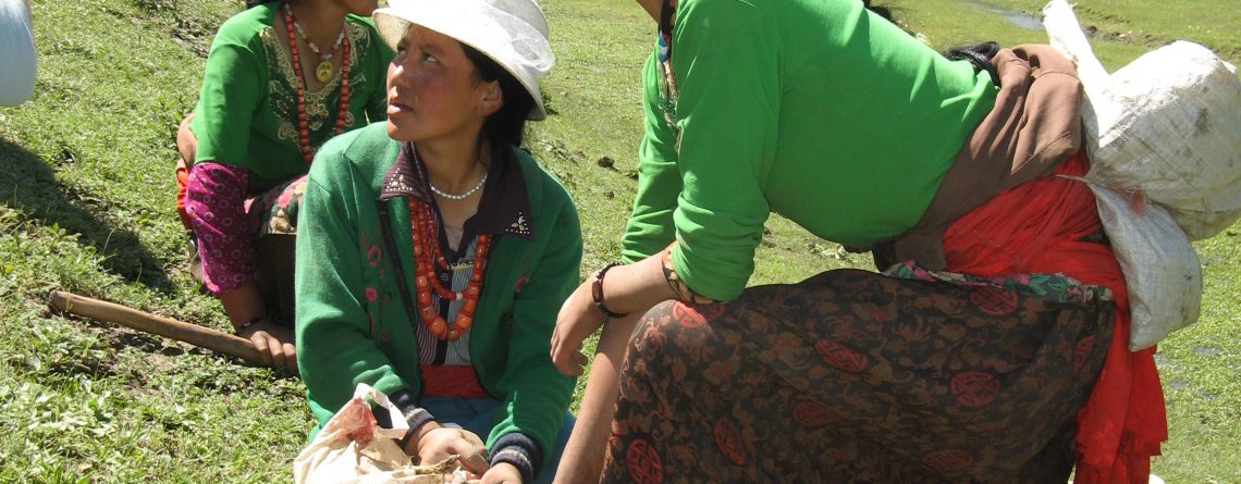 Михаил Вишневский приглашает в экспедицию за дикорастущим кордицепсом в Непал (18-29 мая).