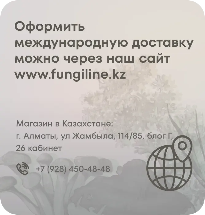 Оформить международную доставку можно через fungiline.kz