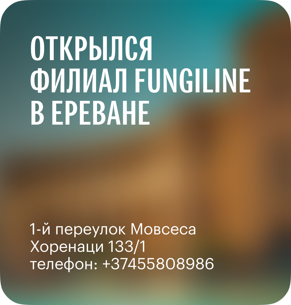 Открылся филиал Fungiline в Ереване