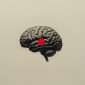 Нейробиология тревоги: почему наш мозг постоянно беспокоится