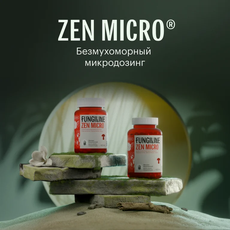 Zen Micro