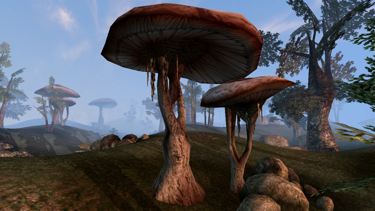 The Elder Scrolls III: Morrowind